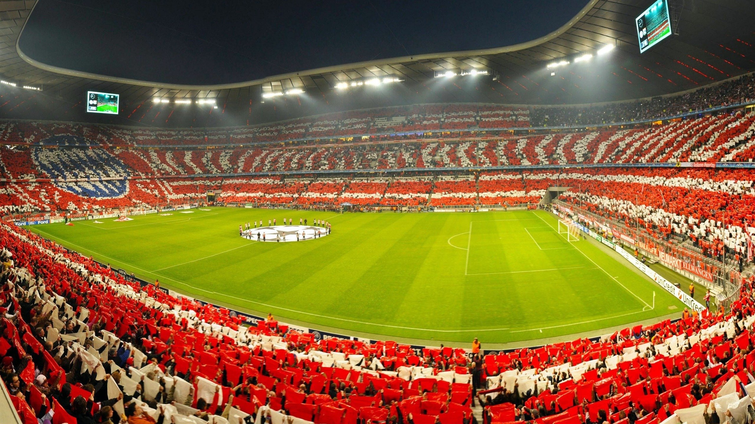 范弗利特指挥若定黄蜂蛰伤雄鹿，战术压制背后的完美风暴